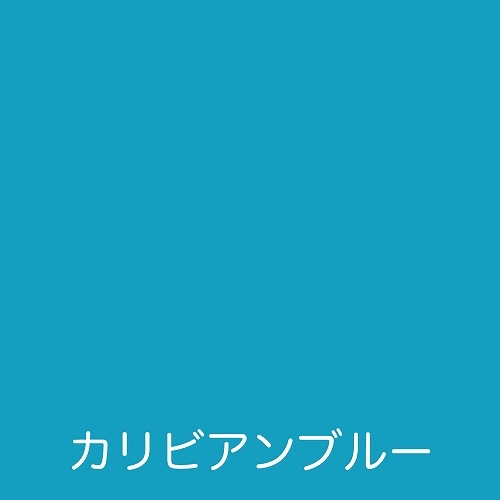 ���ȥ�ϥ����ڥ���� �ե꡼������ ����ӥ���֥롼 1.6L 00001-23325