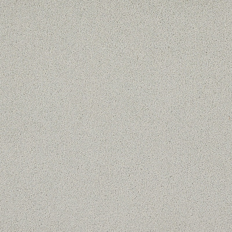 �����륫���ڥå� �ۡ��ॿ����300 ���å����HT316�ˡ�8������