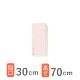 ����ʥå� ���ƥ󥭥�ӥ��å���SK �ߥɥ��߸�ê(��ưê��1�� / �ָ�30cm / ����37.5 �⤵70cm) W������-30M(R��L)