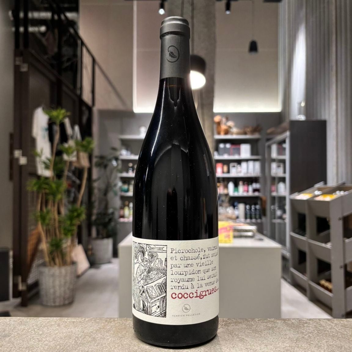 Chirico、Ego quoque、海外版超希少レゾネ、新品額付 ヤニック・ペルティエ コクシグル 2021<br>Yannick Pelletie Coccigrue