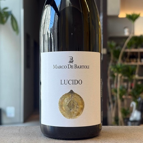 【美品】 Caruso Valditaroネーム 楽天市場】ネーム刺繍入り ミズノ 柔道着 優勝Jr(一重) 帯別売り 柔道