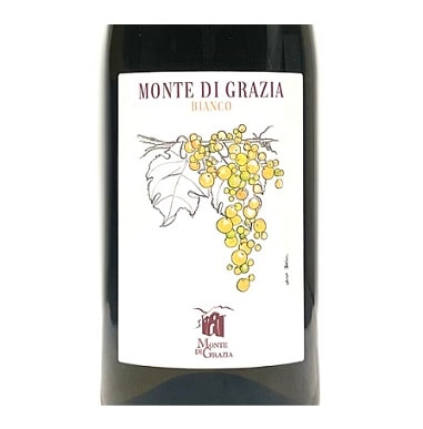 マッサ ヴェッキア / サンジョヴェーゼ　2022 マッサ・ヴェッキア＞サンジョヴェーゼ 2022<br>Sangiovese 2022