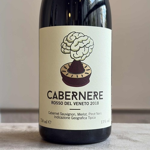 【専用】 イタリア 専用】 イタリア プログレス・レーシングCDI スーパーDIO-ZX（'92～'95