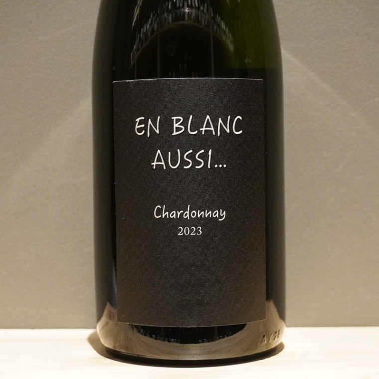 ヨイチ・ブラン トオルのシャルドネ 2023 ヨイチ・ブラン トオルのシャルドネ 2023 ヨイチ・ブラン トオルの