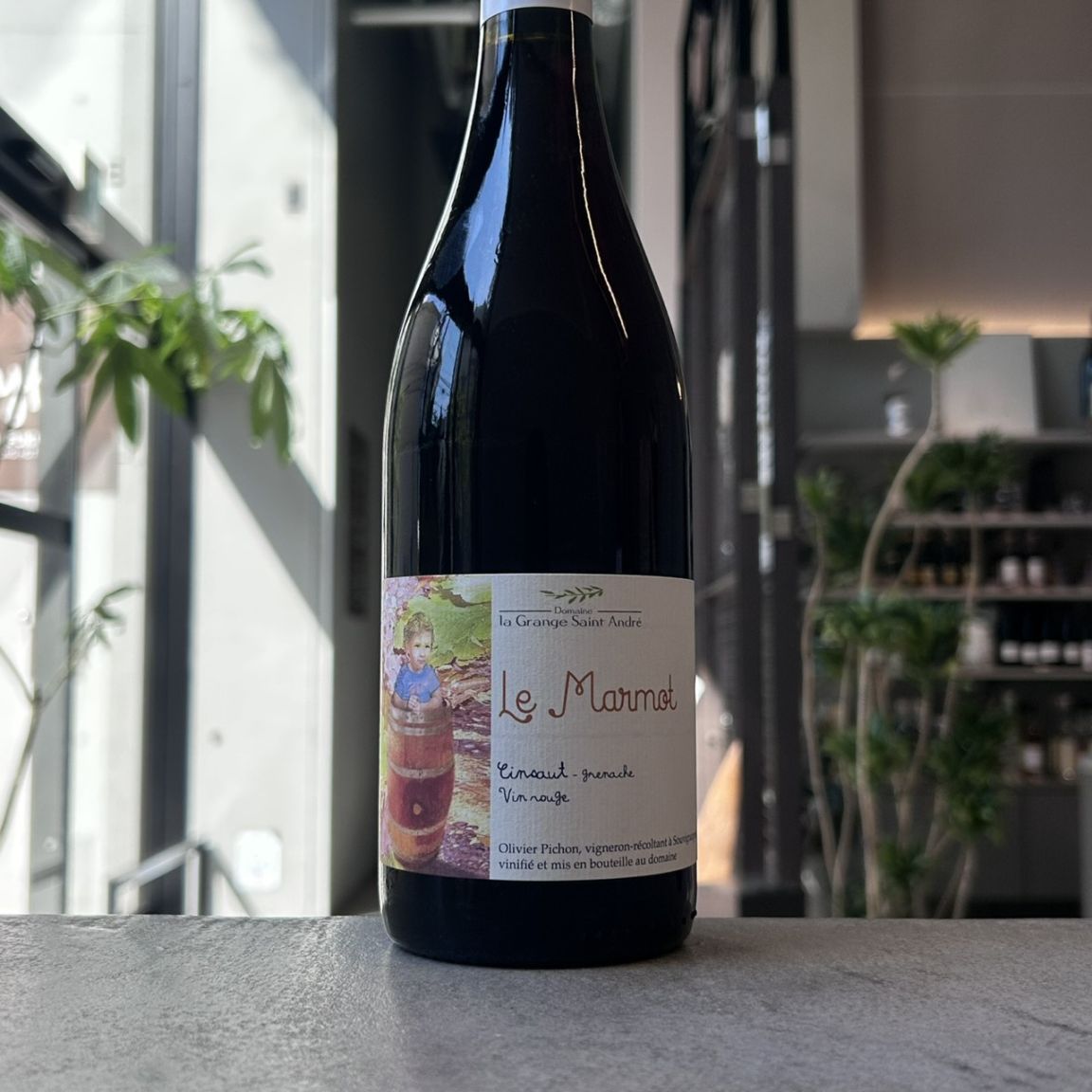 La Domenica del Coppiere - ワイン特集号 Coppiere Montepulciano d'Abruzzo, Italy | prices, reviews, stores