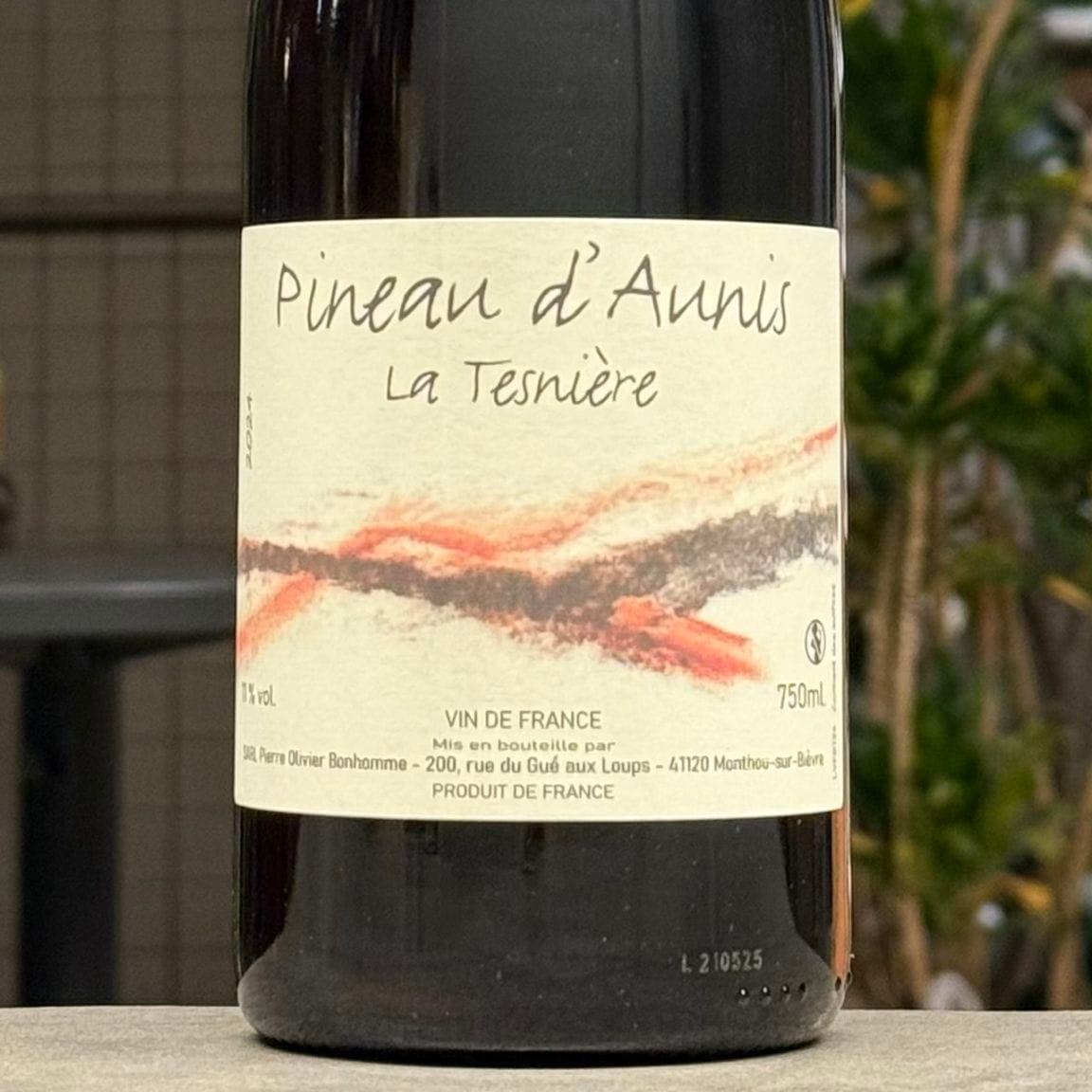 ピエール＝オリヴィエ・ボノーム ラ・テニエール・ピノドニス 2024 赤