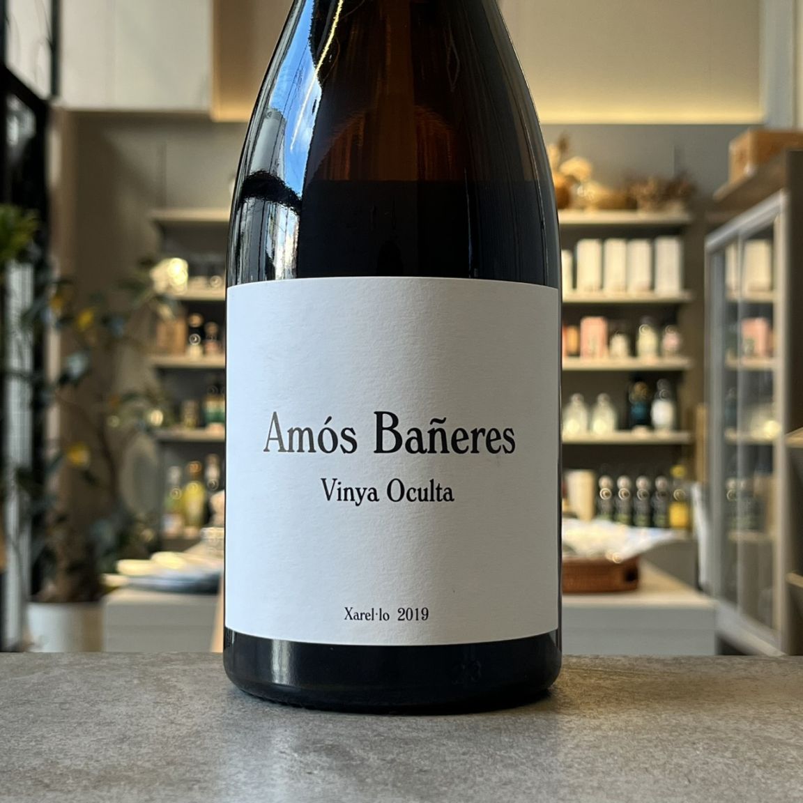 アストロワッペンブラウス ワイン アストロワッペンブラウス ワイン アストロワッペンブラウス ワイン