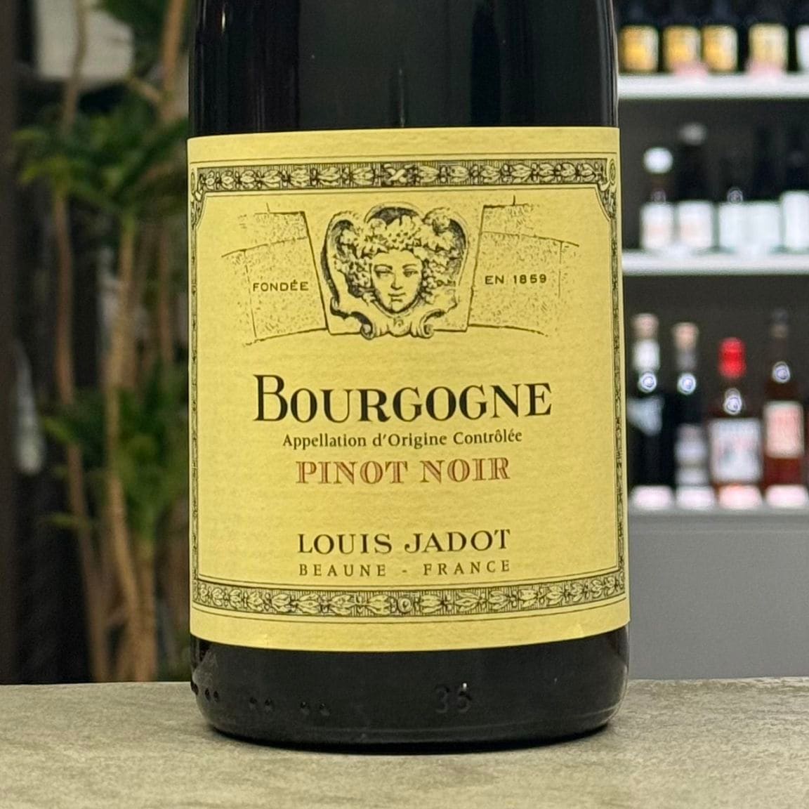 K*様 フレデリックコサール2010BEAUNE2018BigotesQvevr フレデリック・コサール ピノノワール 2023 赤 750ml<br>Frederic