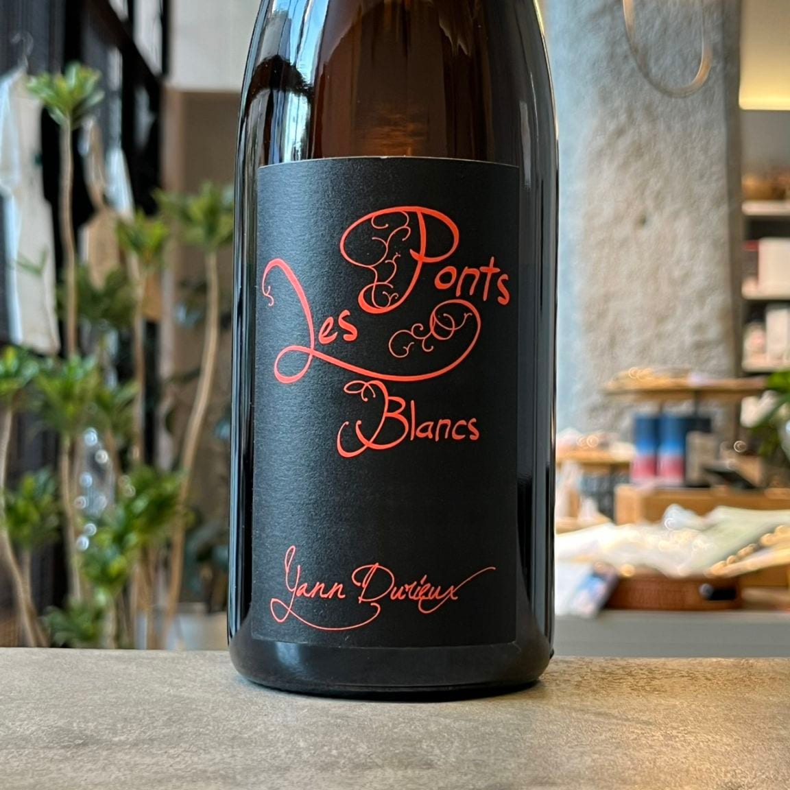 ラ・グランド・コリーヌ・ジャポン 小公子 2024 赤 750ml<br>La Grande