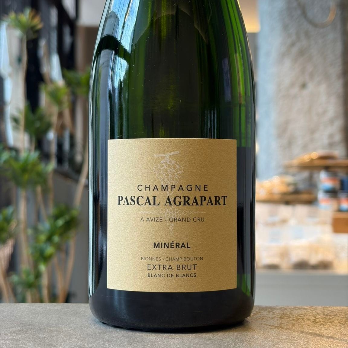 ダミアン・ポドヴェルシッチ ビアンコ・カプリャ 2020 オレンジ 750ml