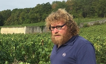 シルヴァン・パタイユ マルサネ・ロゼ フルール・ド・ピノ 2022 ロゼ