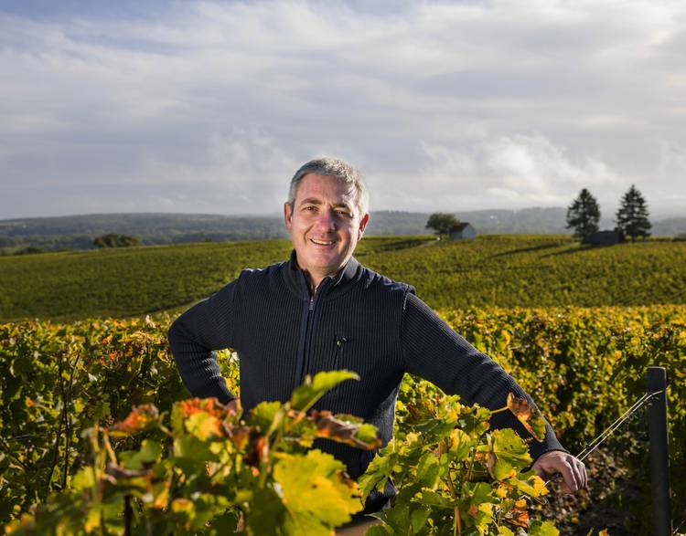 ロベール・カンタン（エリック・ルイ） シャルドネ 2024 白 750ml<br