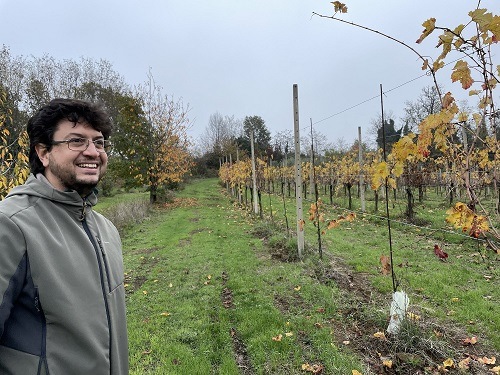 コネコ様③ハウス【80枚程度】TE1104−1　LPレコード　大量 コネコ様③ハウス【80枚程度】TE1104−1 LPレコード 大量 - メルカリ