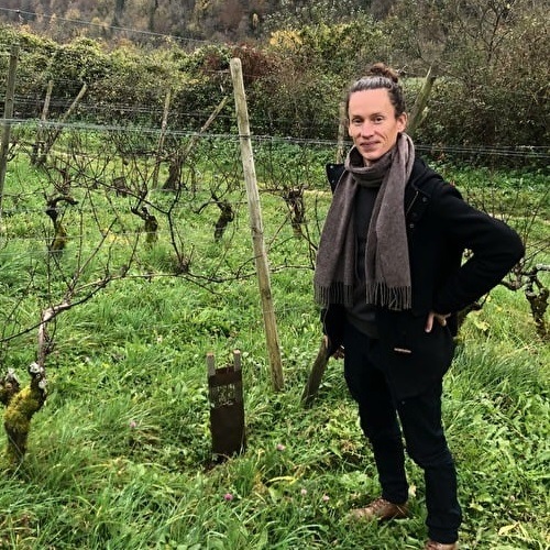 ル・ヴィニョーブル・デュ・パギュー ソンジュ・クルー 2023 白