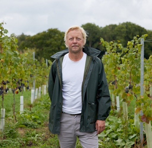 アーテルゴルギーニ　b 2枚　アーテルゴルギーニ　B 2枚 楽天市場】TURTLE BEACH ゲーミングキーボード Vulcan II TKL 日本語