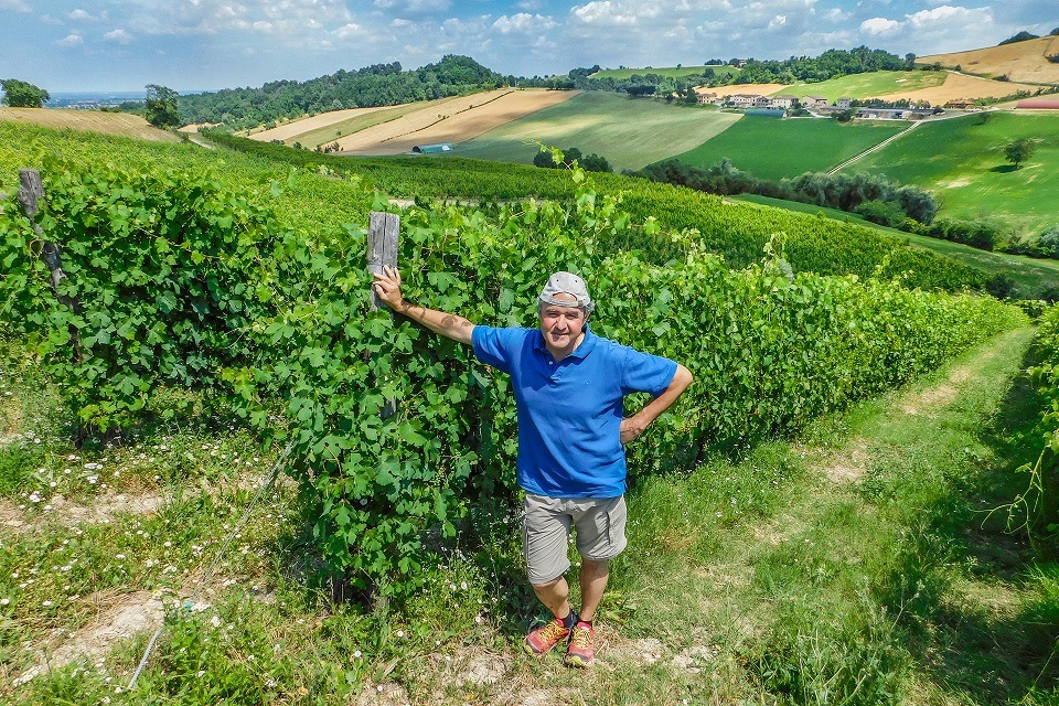 カミッロ・ドナーティ カンパイ 2024 白 750ml<br>Camillo Donati