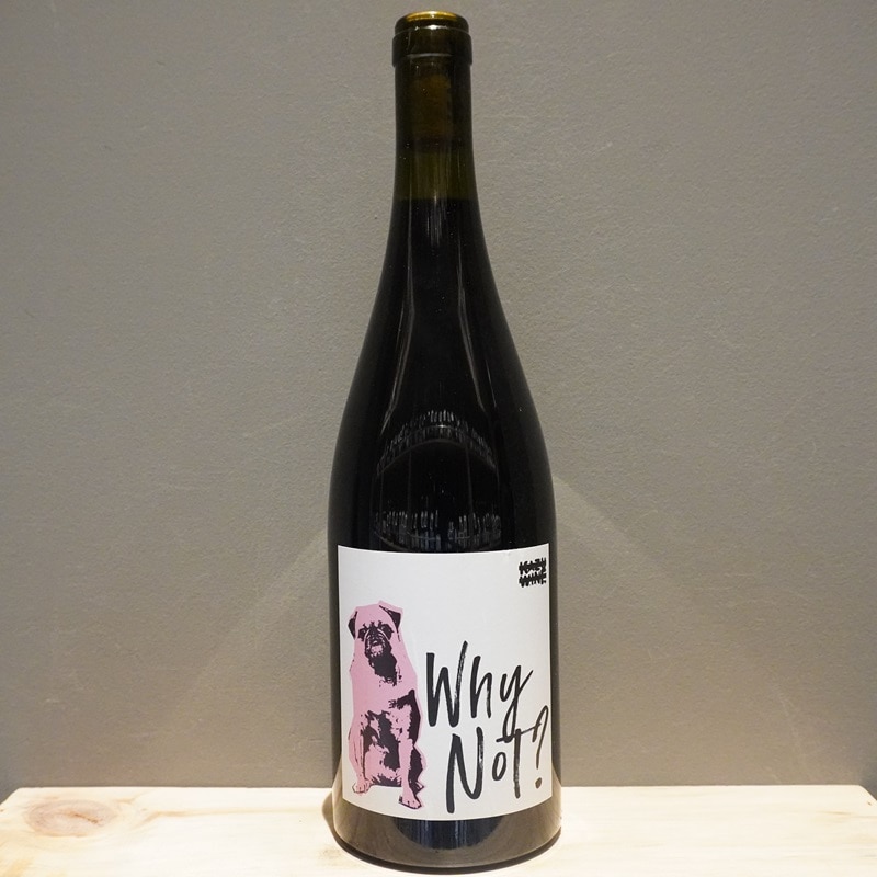 カズ・ワイン ホワイ・ノット？ピノ・ノワール 2023 750ml<br