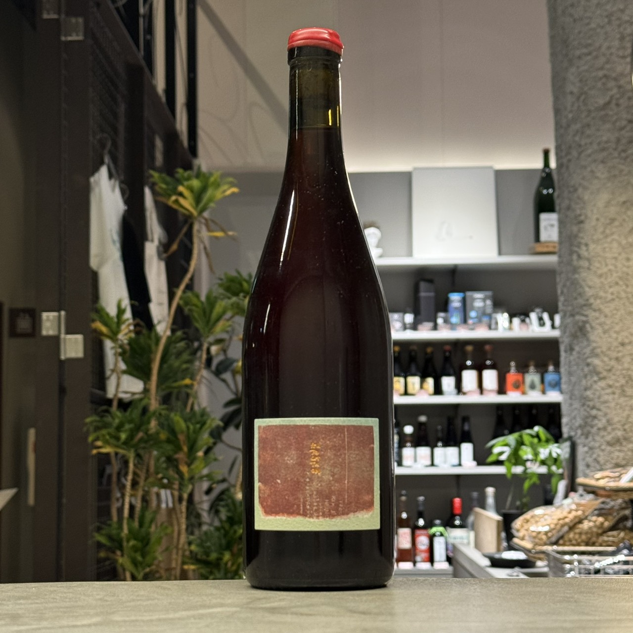 【 Ron Van Dongen: A. angustatum】★値下げしました 幻の黒ブドウとよばれるアジロンダックの甘口ワイン | 山梨県のワイン