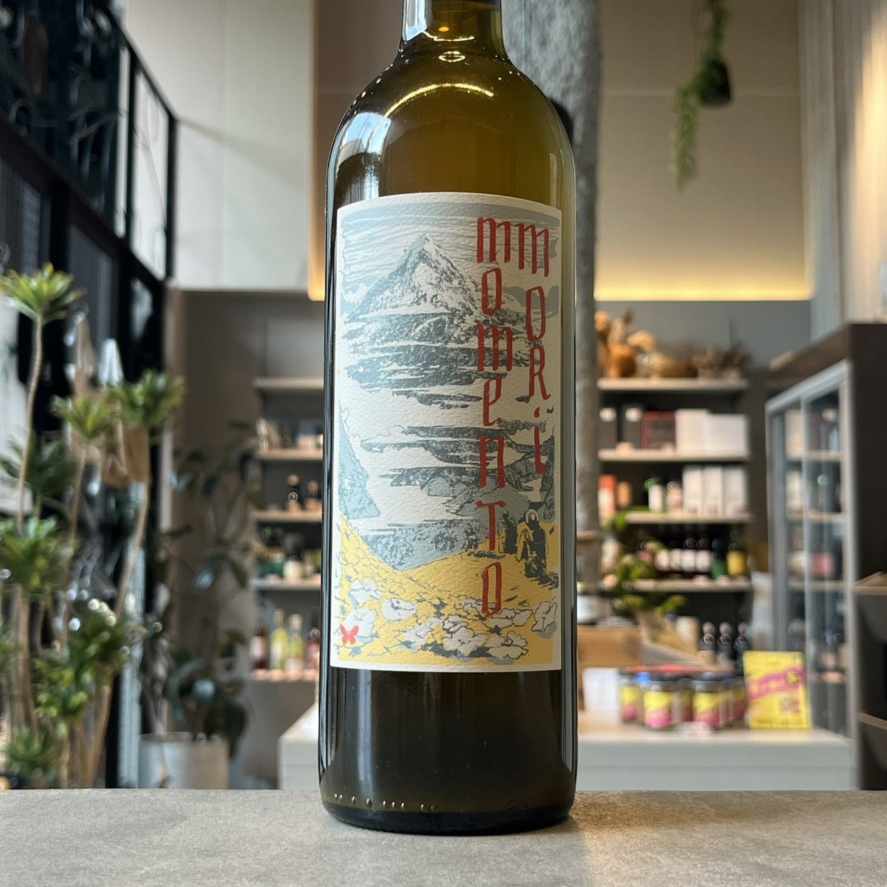 モメント・モリ・ワインズ ステアリング・アット・ザ・サン 2023 750ml