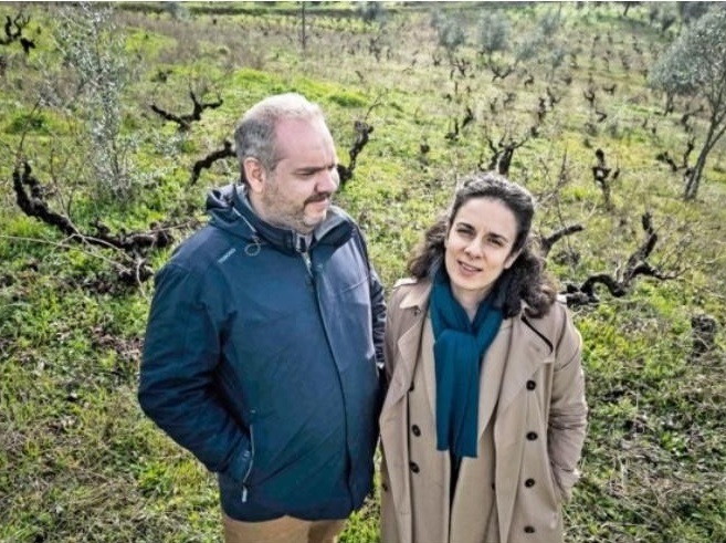 ドミノ ドミノ・サオン・ベント 2023 白 750ml<br>Domino domino Sao