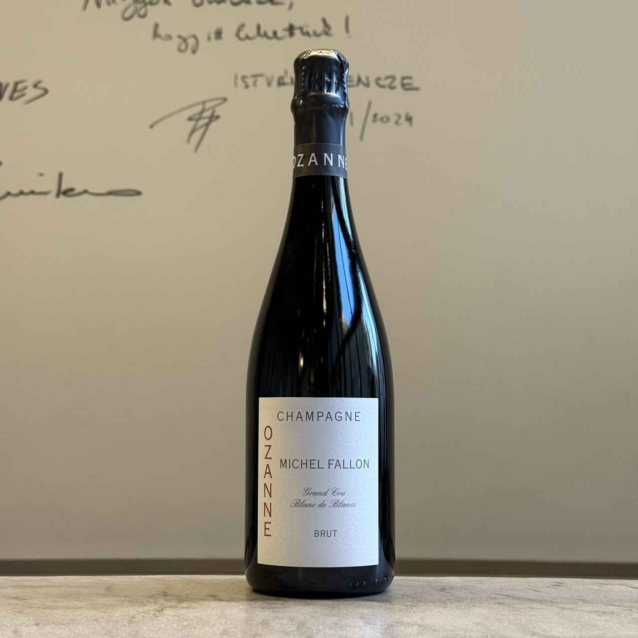 ミシェル・ファロン　オザンヌ B20 購入条件有] OZANNE(B20) MICHEL FALLON / オザンヌ(B20) ミシェル