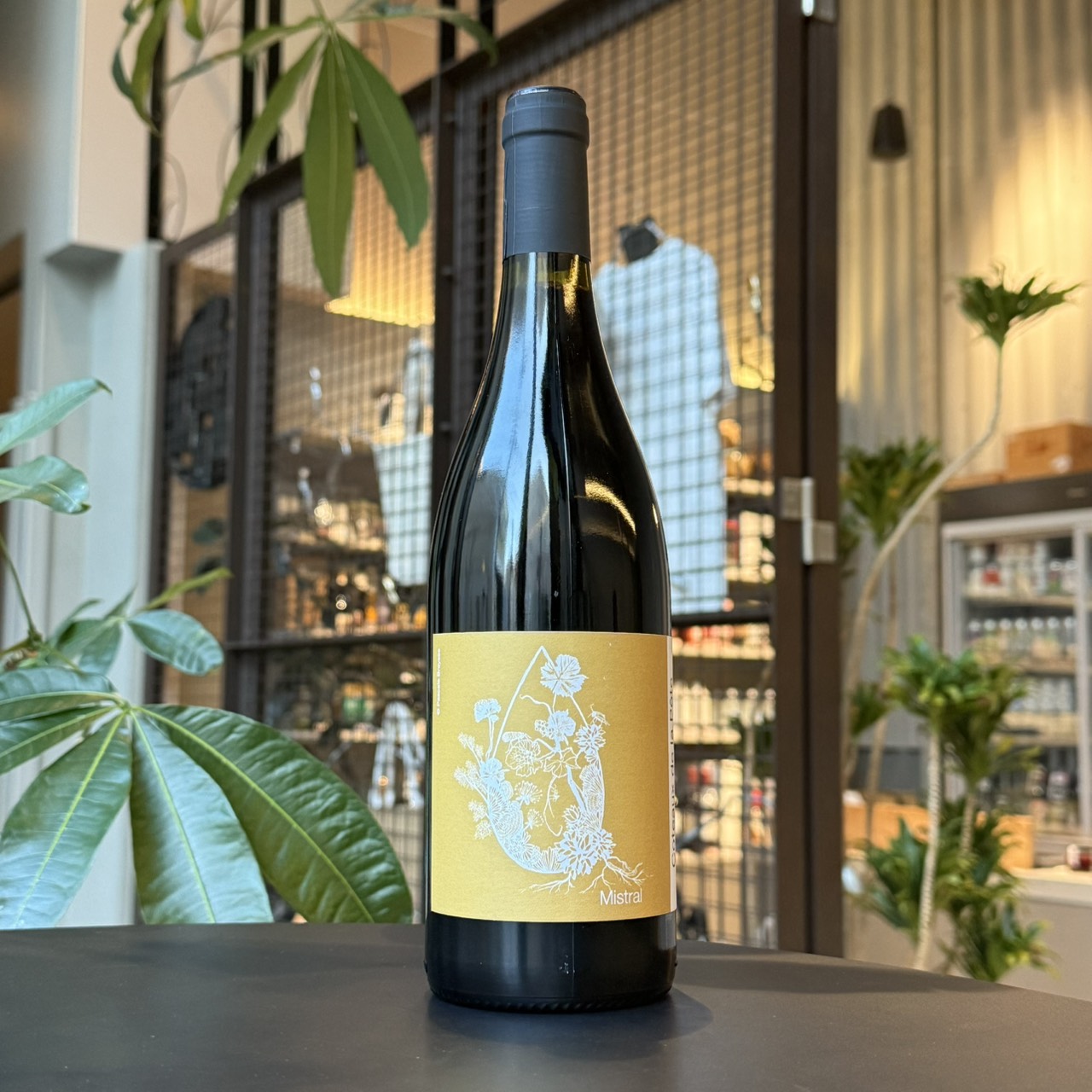 コトー・ド・ラ・ポット ミストラル 2024 赤 750ml<br>Coteaux de la