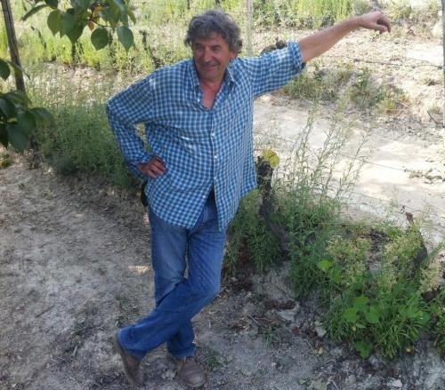 エツィオ・チェッルーティ リフォル・ローザ 2023 ロゼ泡 750ml<br