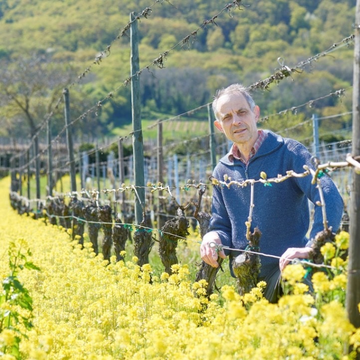 ピエール・フリック リースリング・マセラシオン フォルブルグ GC サン