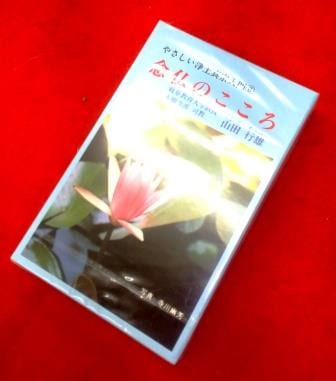 ʩۤ䤵ڿ6ǰʩΤĹͺʥåȥơס