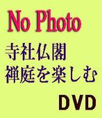 ���컰������ ������ʥӥǥ������ȡ�