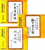 初期無量寿経の研究 | 壬生 泰紀 |本 | 通販 | Amazon