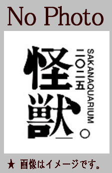 �����ʥ������  / SAKANAQUARIUM 2025 "����"��Blu-ray or DVD��