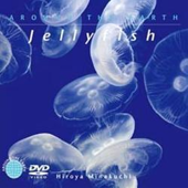 [Around the Earth] �ϵ�β��� �����ʪ �������꡼�ե��å��塦���饹�����ڥ󥮥�ʣģ֣������硿ʬ���ǽ��