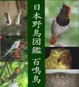 [������BGV/BGM] ������Ļ�޴ա����ܤ�ɴ��Ļ��202�������Ļ���Ĥ����ʣģ֣� or �֥롼�쥤��