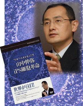 (未使用･未開封品)いのちをつくる ~iPS細胞・ES細胞がかなえる未来~ [DVD] Amazon.co.jp: いのちをつくる ~iPS細胞・ES細胞がかなえる未来