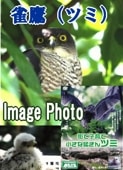 ��������ǻҰ�ơ��������Զ٥ĥߡ��ʣģ֣ġ�