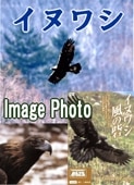 ŷ����ǰʪ ���̥亮�����֤�õ�� ���κ֡ʣģ֣ġ�