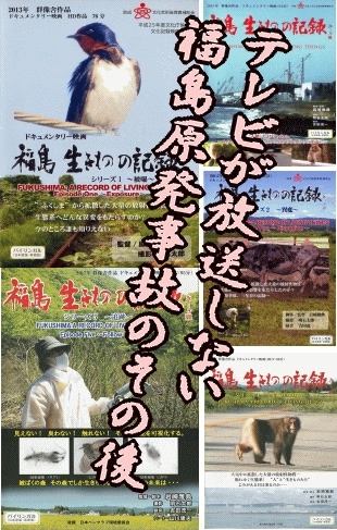 ʡ�縶ȯ���Ρ�����ʪ�ε�Ͽ���ƥ�Ӥ��������ʤ�ʡ��κ����ʣģ֣������硿ʬ���ǽ��