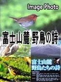 ��Ļ�����λ����ٻλ�ϼ����Ļ���������ˡ��ʣģ֣ġ�