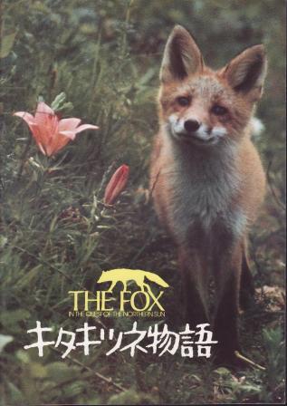 キタキツネ物語 DVD 動物探検シリーズ Amazon.co.jp: キタキツネ物語―35周年リニューアル版― [DVD