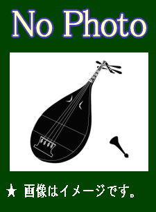 平家琵琶～平曲のすべて～（CD2枚組） | インストゥルメンタル,和楽器