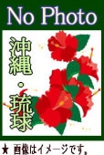ڥ饹ȿդĤ ̱ ư񡦲ƺפ꥽󥰡ɤ⥨ɡ ʤɡʣãġ