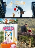 ��Disney select�ۥס�����ͤˤʤä��� �� �ӥХ꡼�ҥ륺�������ʣģ֣ģ����ȡ�