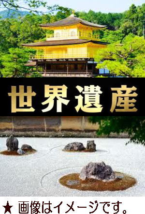 �ڵ��ԴѸ�/����õˬ�۸��ԡ����Ԥ������仺��ʸ����ʣģ֣ģ����ȡ�