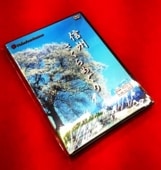 ���ܤκ��������鵪��BGV/BGM -����Ĺ��κ�̾�ꡦ����-�ʣģ֣ġ�