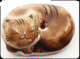 Ե/ơդˤ󤳤ιΩơ/ʬǽ