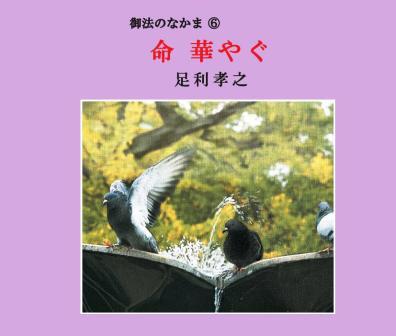 ��ʩ��ˡ�á۸�ˡ�Τʤ��� -ǰʩ�ȤȤ��������������-��CD��10��/ʬ���ǽ��