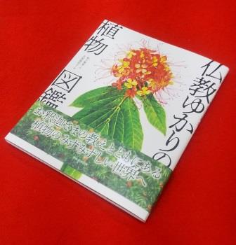 ʩ�����ο�ʪ�޴աʽ��ҡ�