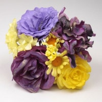 FF-42167 �ѡ��ץ�/��������