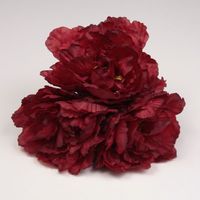 イベリア　フラメンコツーピース　黒と赤 美品　高級刺繍フリル HERMOSA ドレス